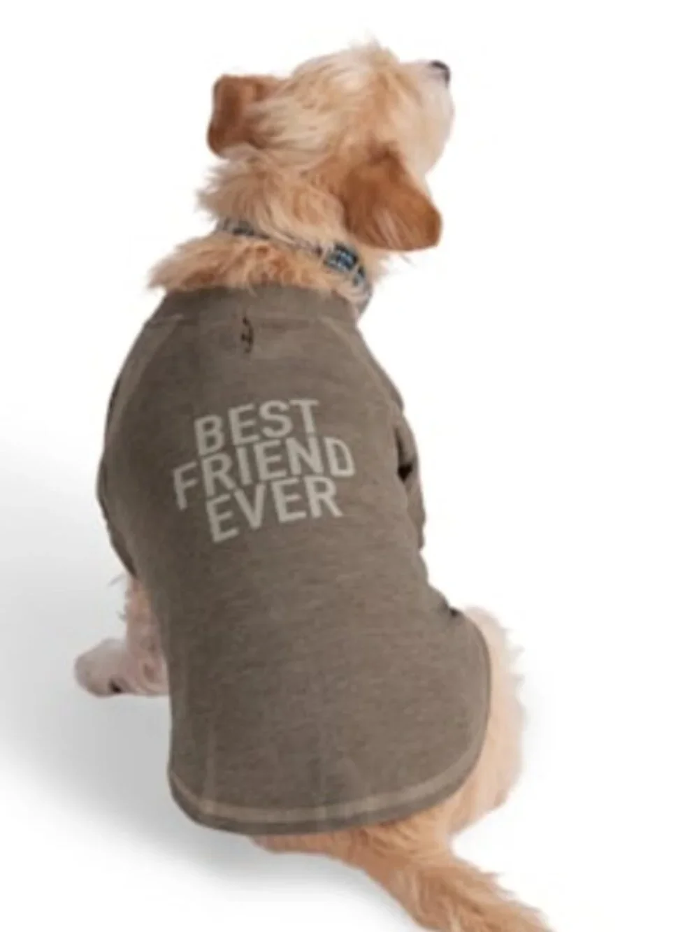 New Reddy Best Friend Ever BFF Dog Tee Shirt Medium Gray Olive